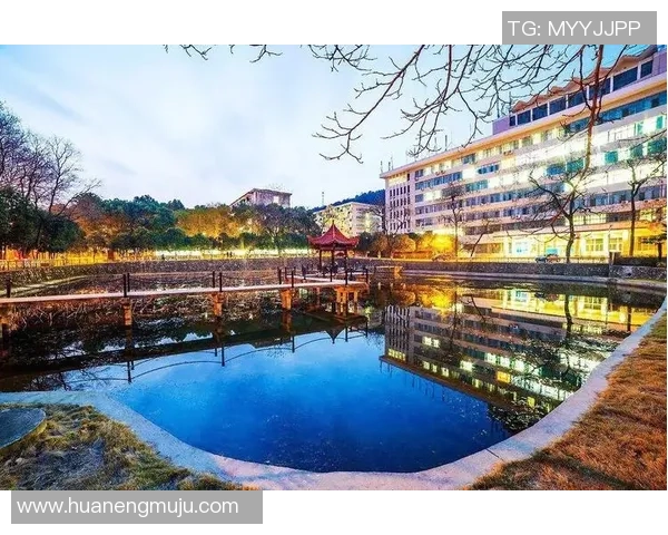 武汉羽毛球队的奋斗与荣耀杯赛之路揭秘与突破历程分享